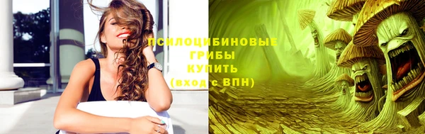 дурь Тихвин